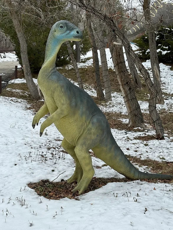 Guest Factoid Dryosaurus img4