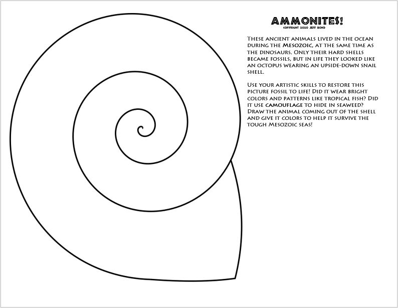 Ammonite coloring page