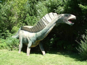 Exhibit Spotlight Amargasaurus cazaui img