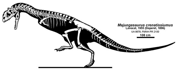 majungasaurus dinosaur