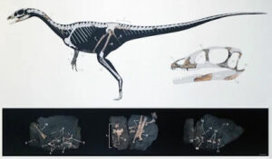 Paleontology Newsflash Dracoraptor hanigani img
