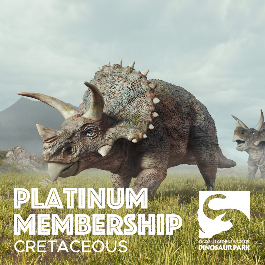 Membership Cretaceous