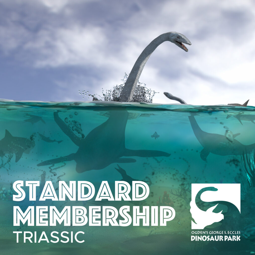 Membership Triassic1
