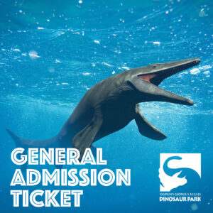 General Admission Tickets